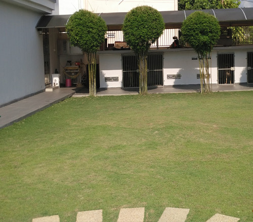 pool_1_b